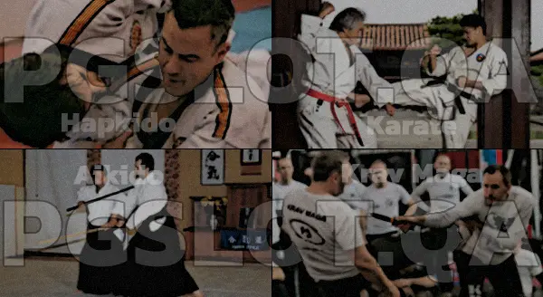 Hapkido