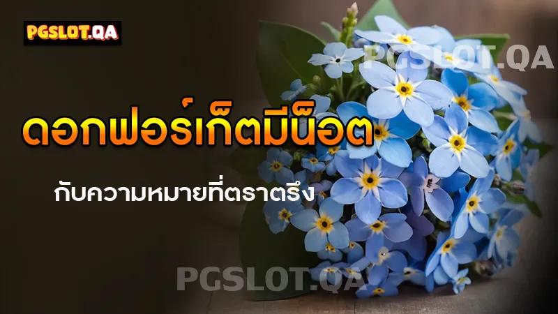 ดอกฟอร์เก็ตมีน็อต