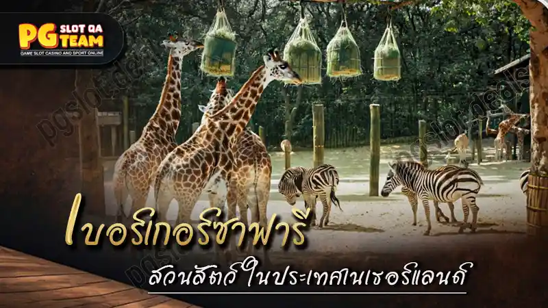 เบอร์เกอร์ซาฟารี